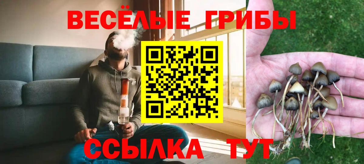 Галлюциногенные грибы Magic Shrooms Киржач
